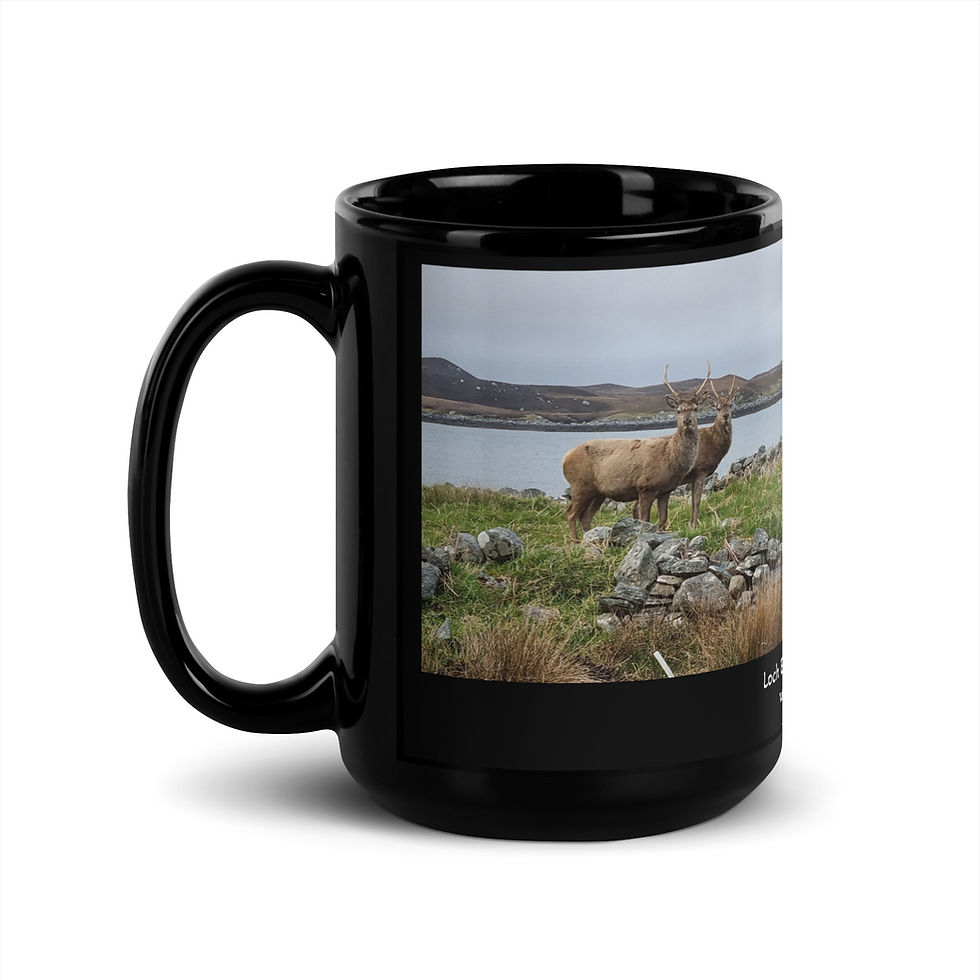 Thumbnail: Loch Euphort Daimh