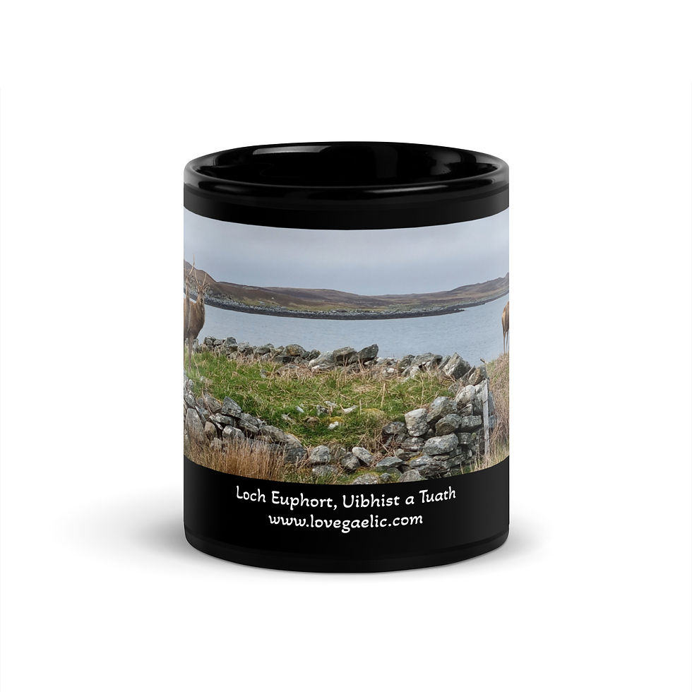 Thumbnail: Loch Euphort Daimh