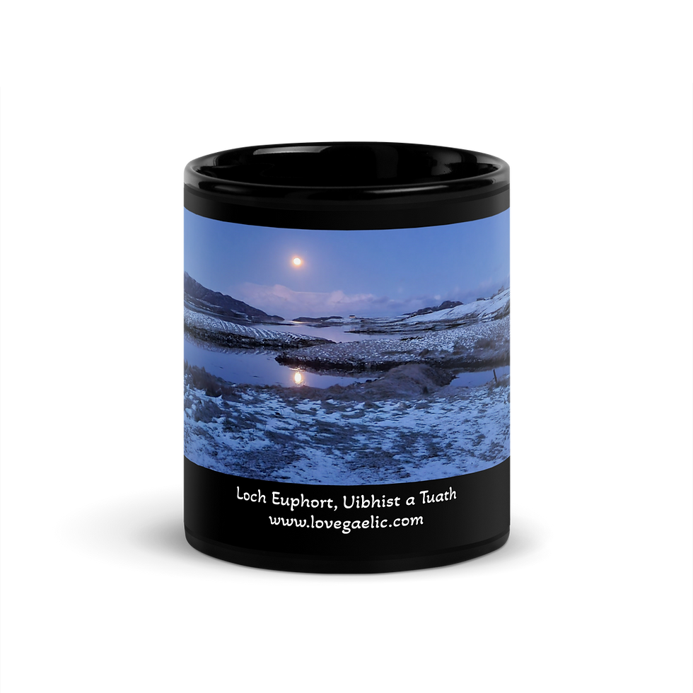 Thumbnail: Loch Euphort Gealach