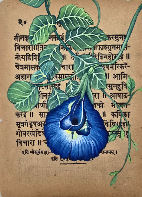 Aparajita 2/4