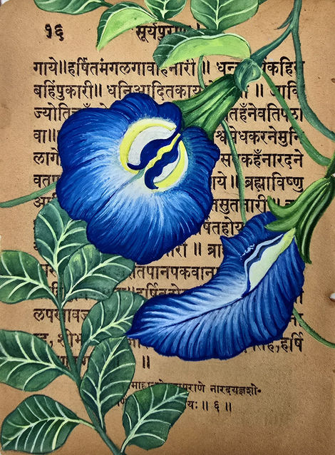 Aparajita 1/4