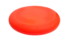 fresbe .png