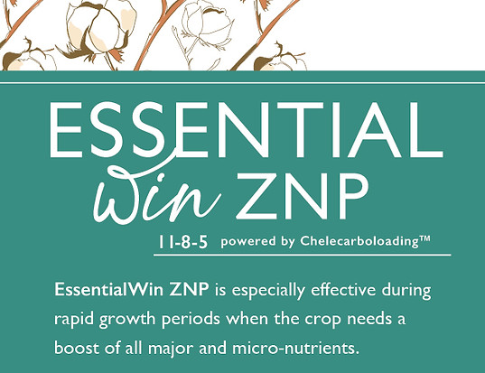 Essential Win ZNP Product Preview.jpg