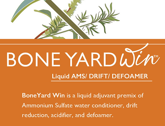 Boneyard Win Product Preview.jpg