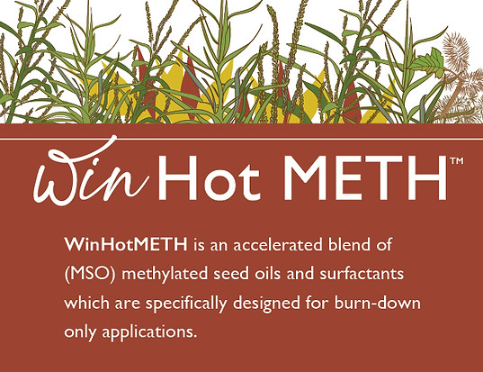 WinHotMeth Product Preview.jpg