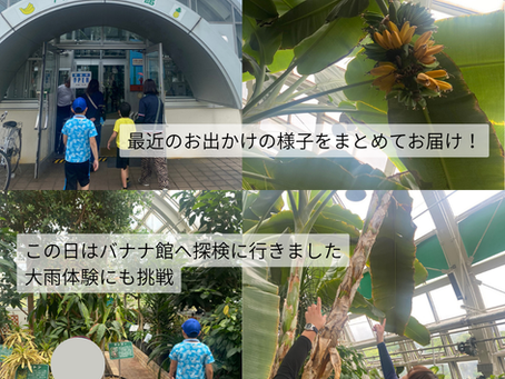 おでかけ日和☀