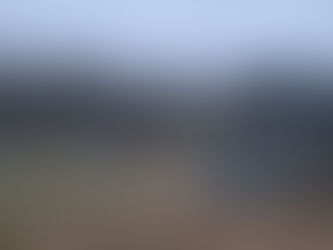 This is what happened at the She Shed today!