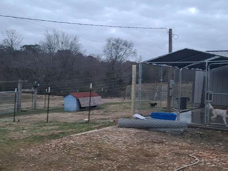 This is what happened at the She Shed today!