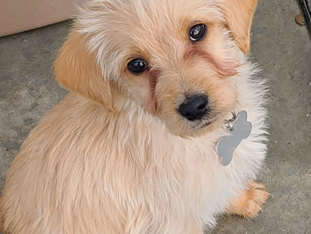 Tupelo flea market this weekend come see us!