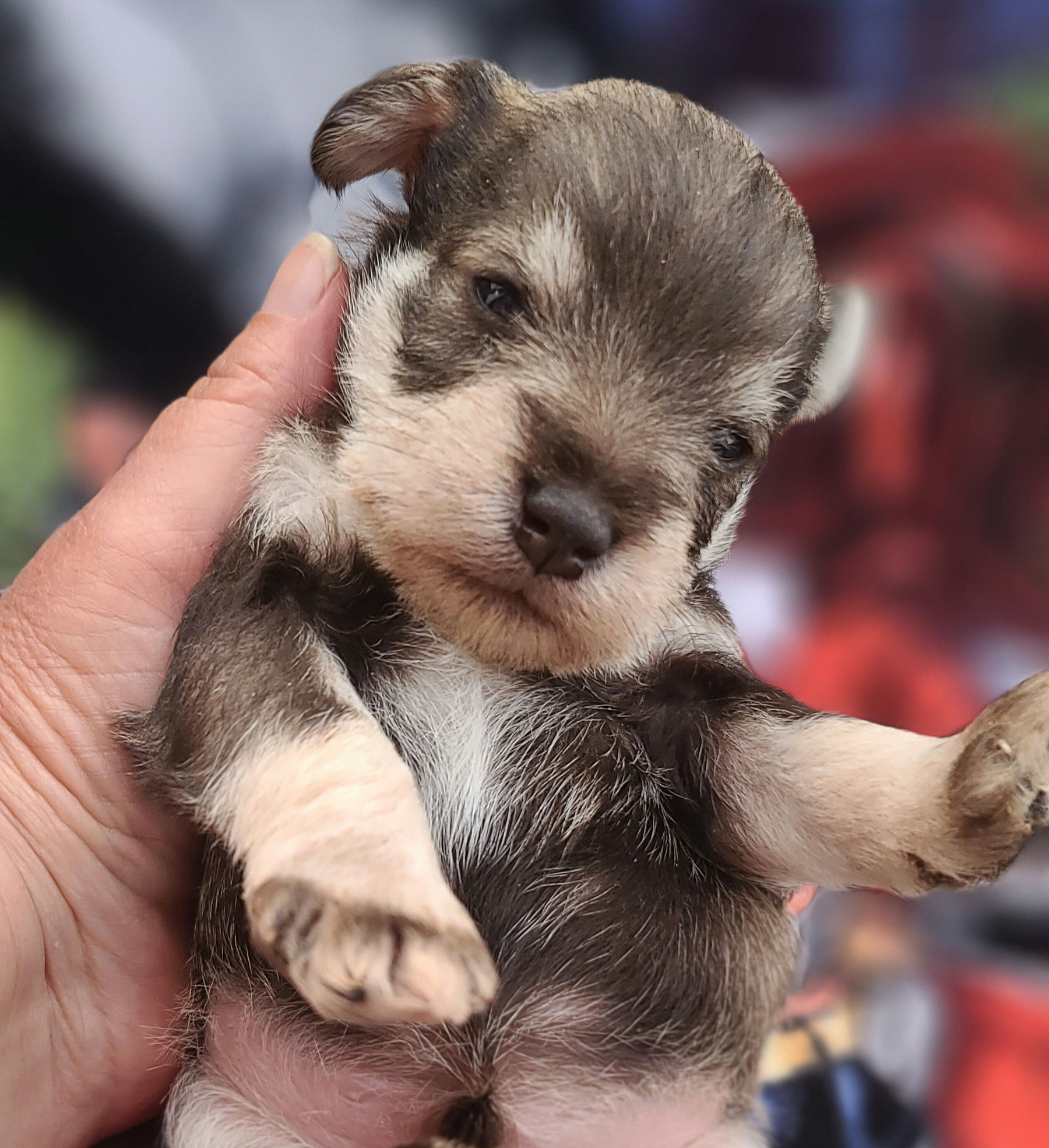 Writer: vickiessheshedkenn