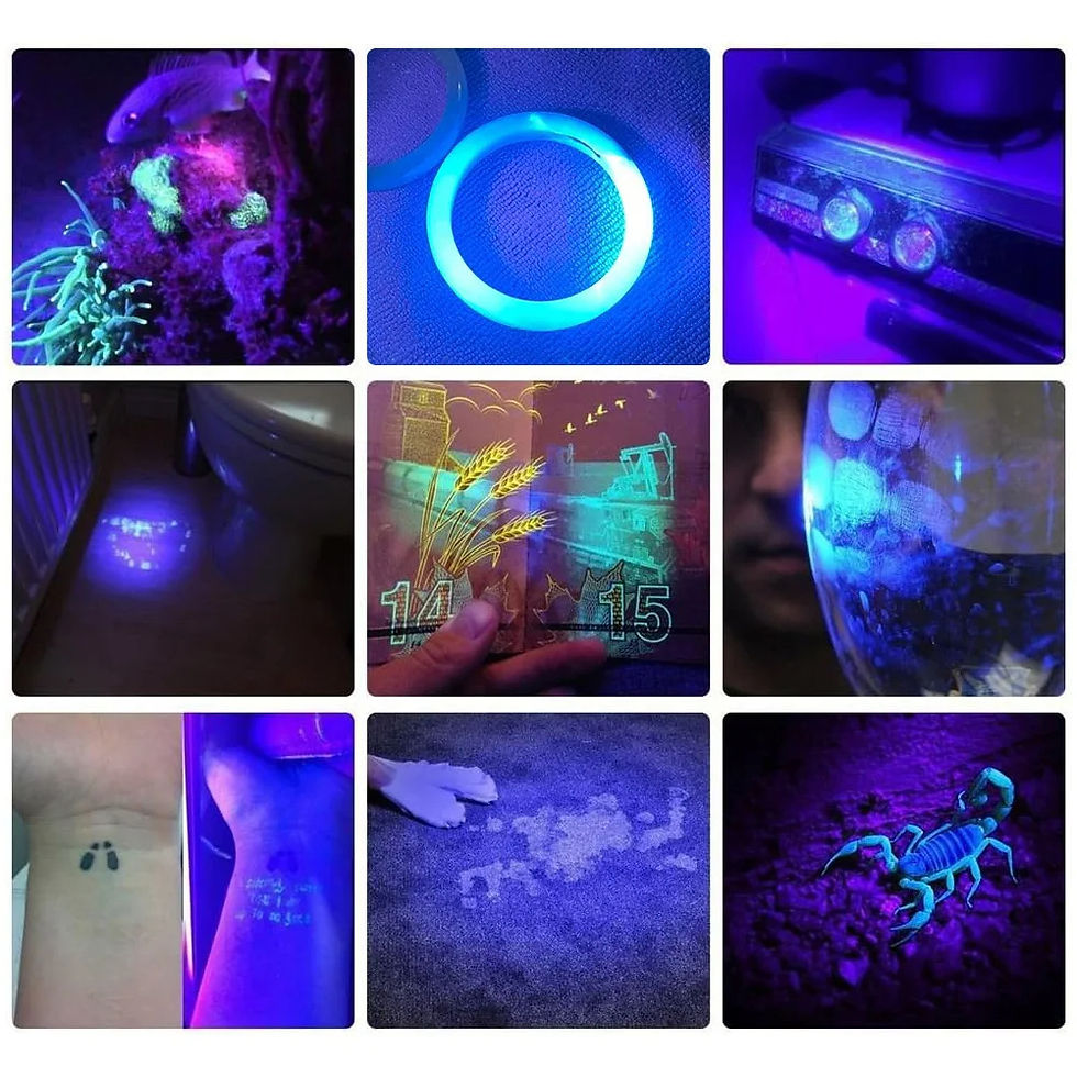 Thumbnail: 120w 365nm UV(Ultraviolet) aluminium Body Flashlight + 4 cell