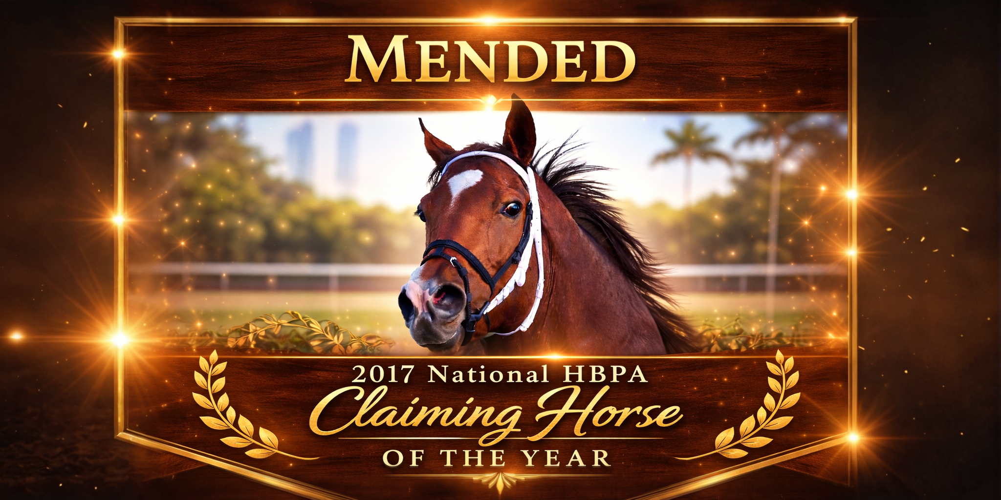 Mended featured winner