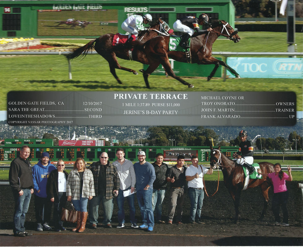 private terrace 121017