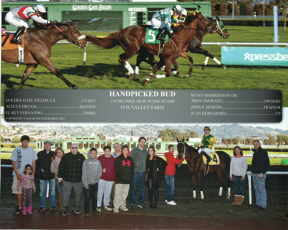 Handpicked Bud 1_1_15