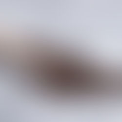 Piperine and Key Volatile Constituents: The Molecular Basis of Black Pepper’s Heat and Aromatic Profile