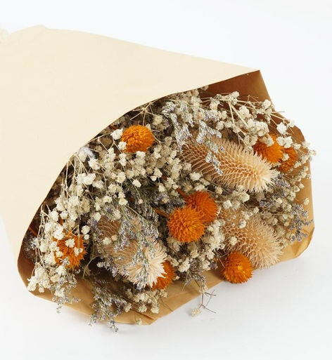 WhatsApp Ima.08 (4).jpeg