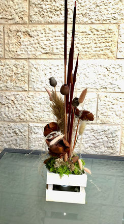 WhatsApp Image 2022-05-30 at 20.23.33.jpeg