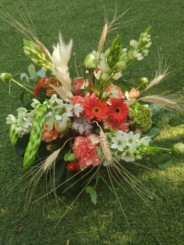 WhatsApp Image 2022-05-25 at 17.10.44.jpeg