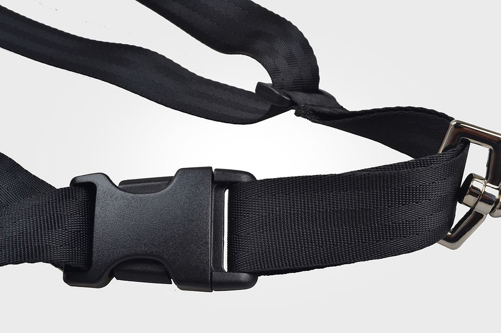 Miniature : HARNAIS SAXOPHONE JUNIOR