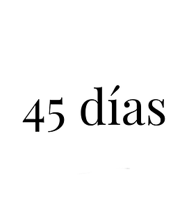 45 dias.png