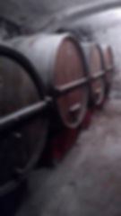 foto botti vino