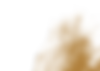 texture manto.png
