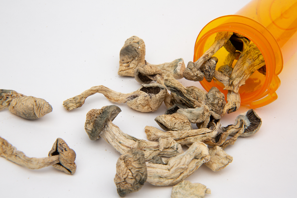 mushroom dispensary in DC