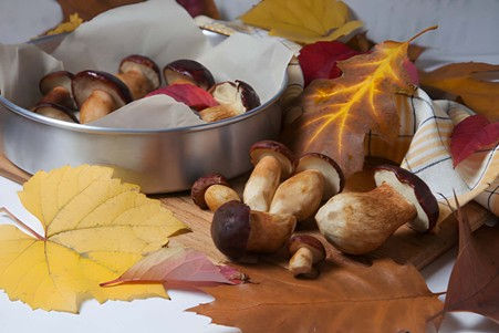 Buy a mushroom chocolate bar online