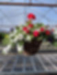 29956F84-8D1E-4DF6-9710-2FCC6A5DFF30.jpe