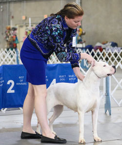 Flor at the 2023 DACA specialty show
