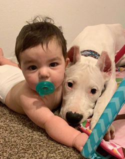 Puppy Elaina with our youngest daughter