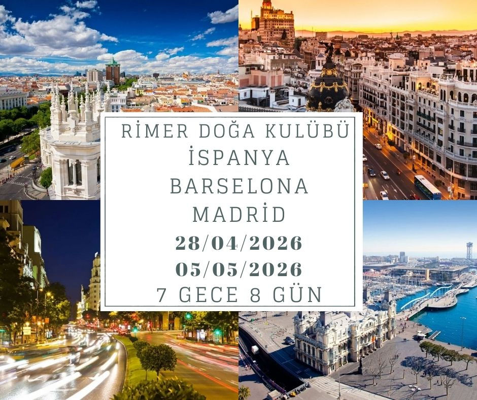 Rimer İspanya (Endülüs ) Turu