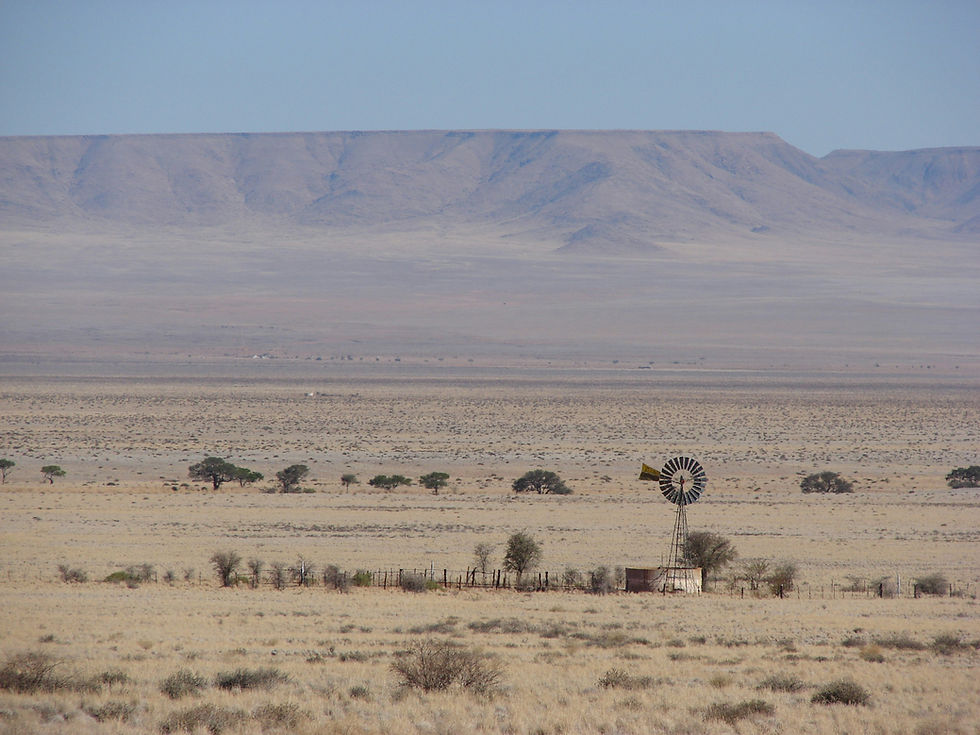 Hot desert environment causing heat exhaustion, with harsh sun exposure and dry conditions.