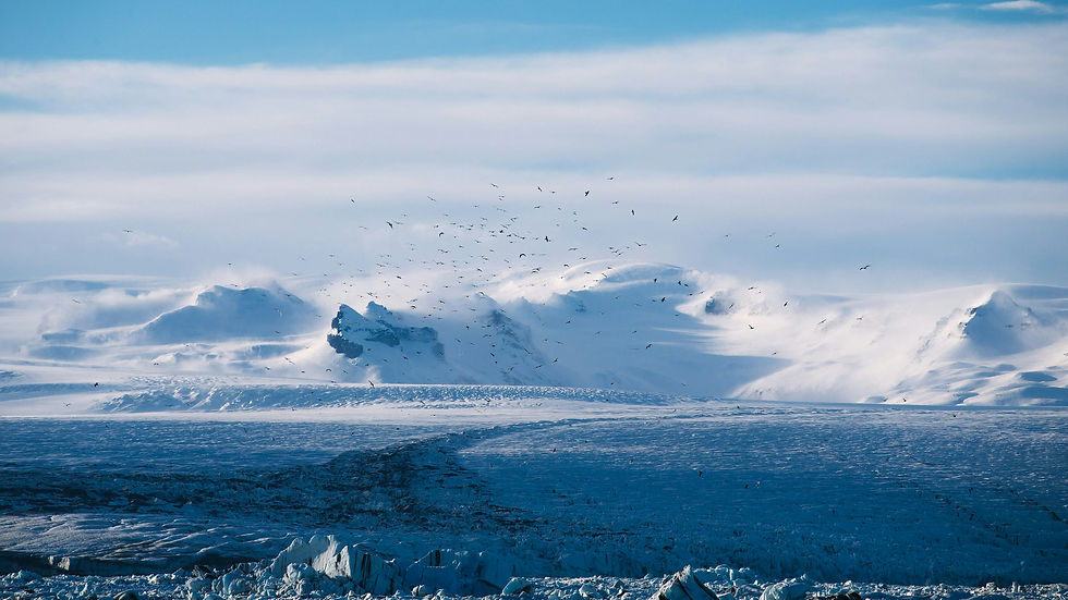 Cold, snowy environment causing hypothermia, with freezing temperatures and harsh weather conditions.