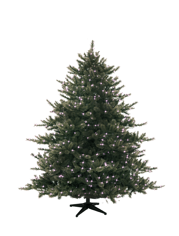 Christmas Tree Wide
