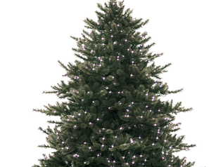 Møller Bil bidrar til jul!