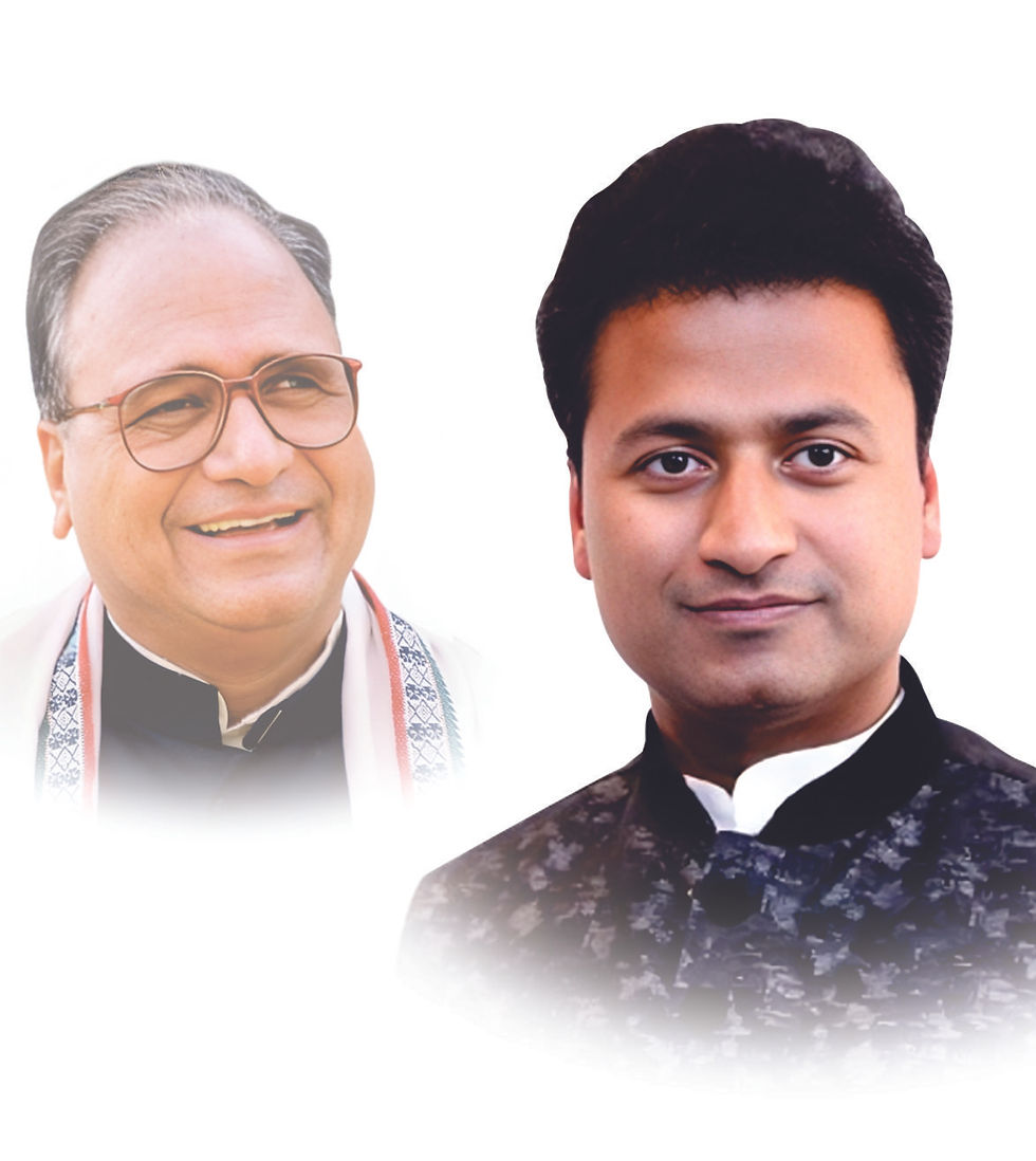 1) Narayan Seva Sansthan.jpg