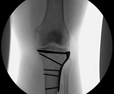 Screenshot 2025-10-20 at 11.42.28 AM.png