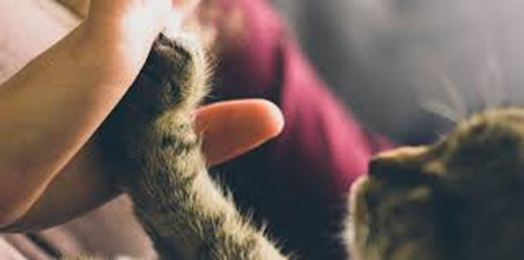 ree