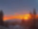 IMG_8118.JPEG