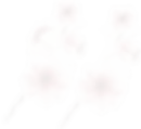 BG-slide1-v2_aa492f27-5469-4ff3-b101-c546909749a7.webp