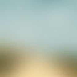 Marie, récit d'une GPA