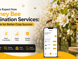 What to Expect from Honey Bee Pollination Services: A Guide for Better Crop Success