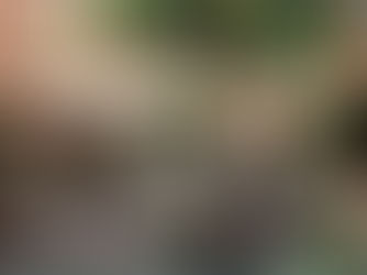 Best boutique hotels in Italy