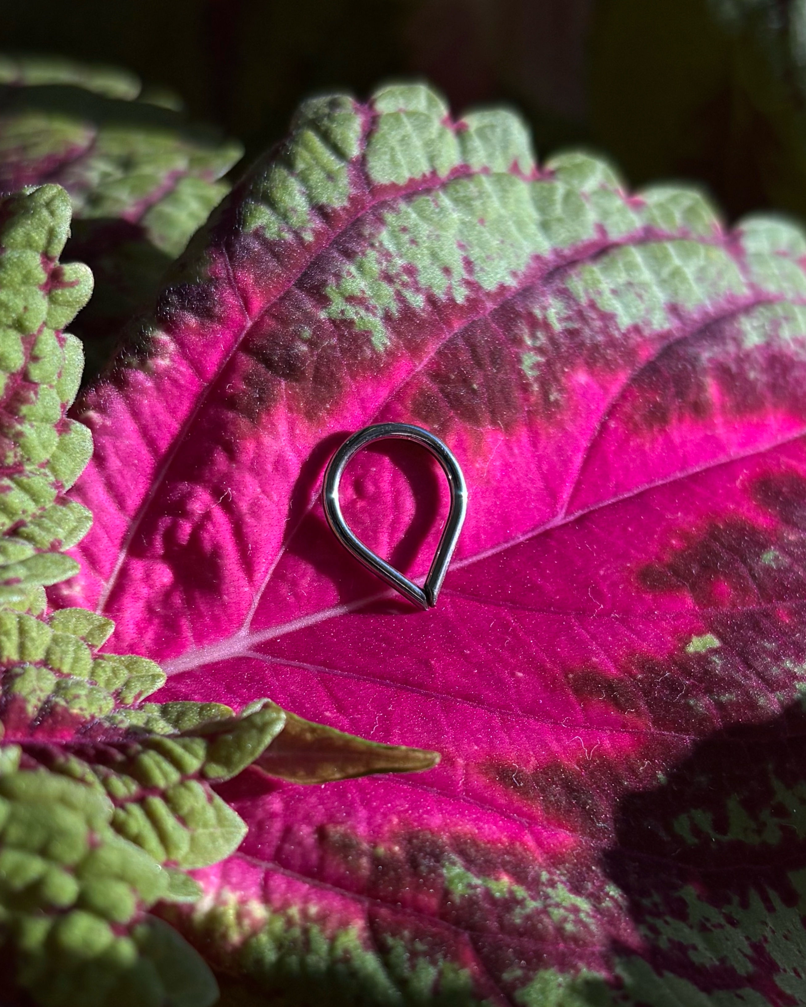 Apex Handcrafted Niobium Odhran Seam Ring
