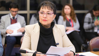 Diputada Carolina Marzán hace llamado formal al Ministerio de Educación para que tome medidas urgentes, ante el grave problema de violencia al interior de recintos educacionales
