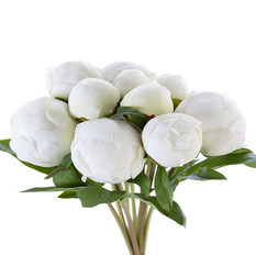 0007505_peony-bud-bundle-x10.jpeg