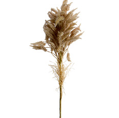 0008108_32-wheat-spray.jpeg