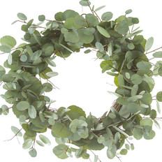 0002892_24-silv-dollar-euc-wreath.jpeg