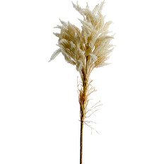 0008110_32-wheat-spray.jpeg